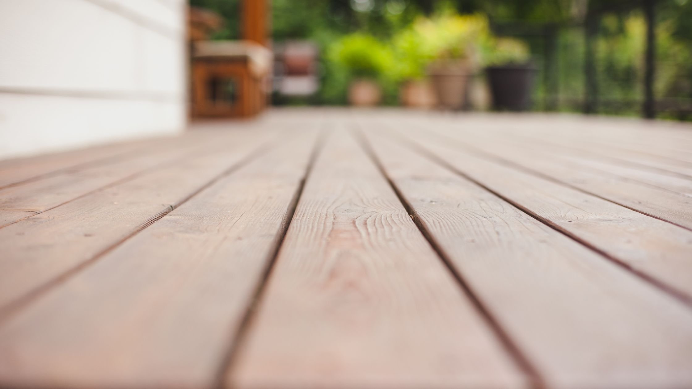 close up of decking with plants in the background