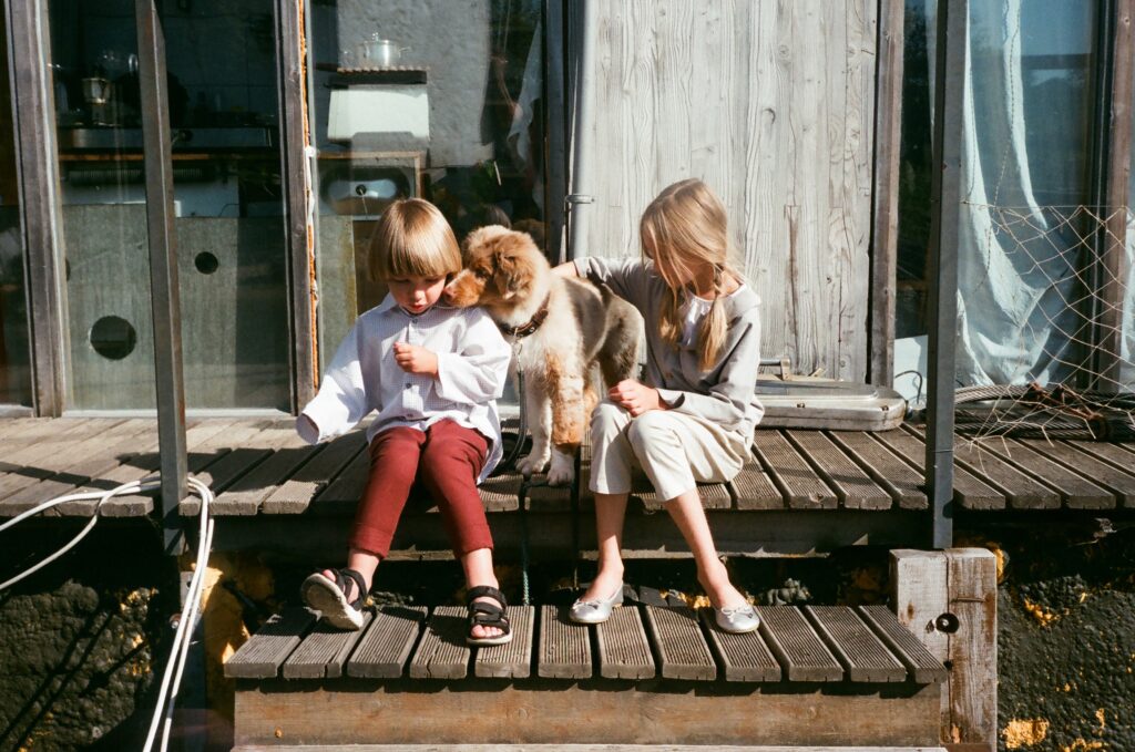 What to Consider When Building a Pet-Friendly Deck. Children And Dogs Sitting On A Deck.